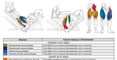 Жим ногами лежа: какие мышцы работают и как правильно выполнять Постановка ног в жиме ногами платформы